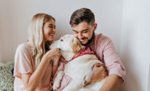 Divórcio: Animais do casal tem direito a pensão alimentícia?